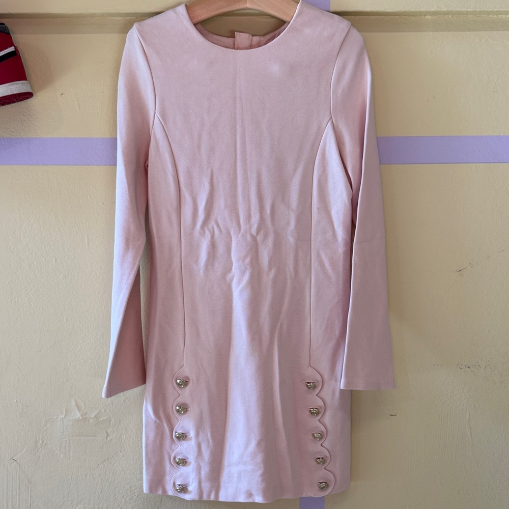 Chloe Elegant Pink Long Sleeve Dress